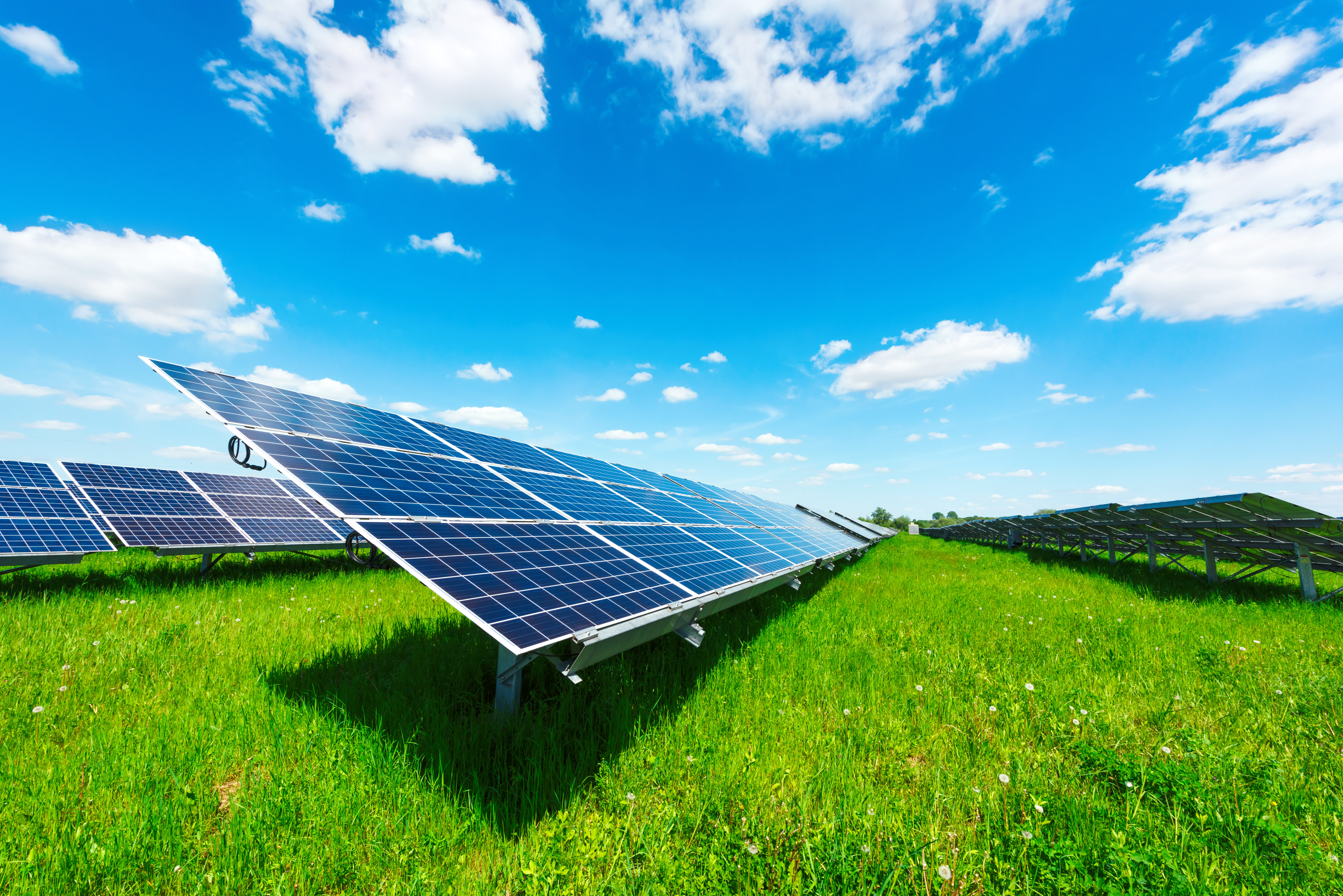 Жыныстық пионерлер